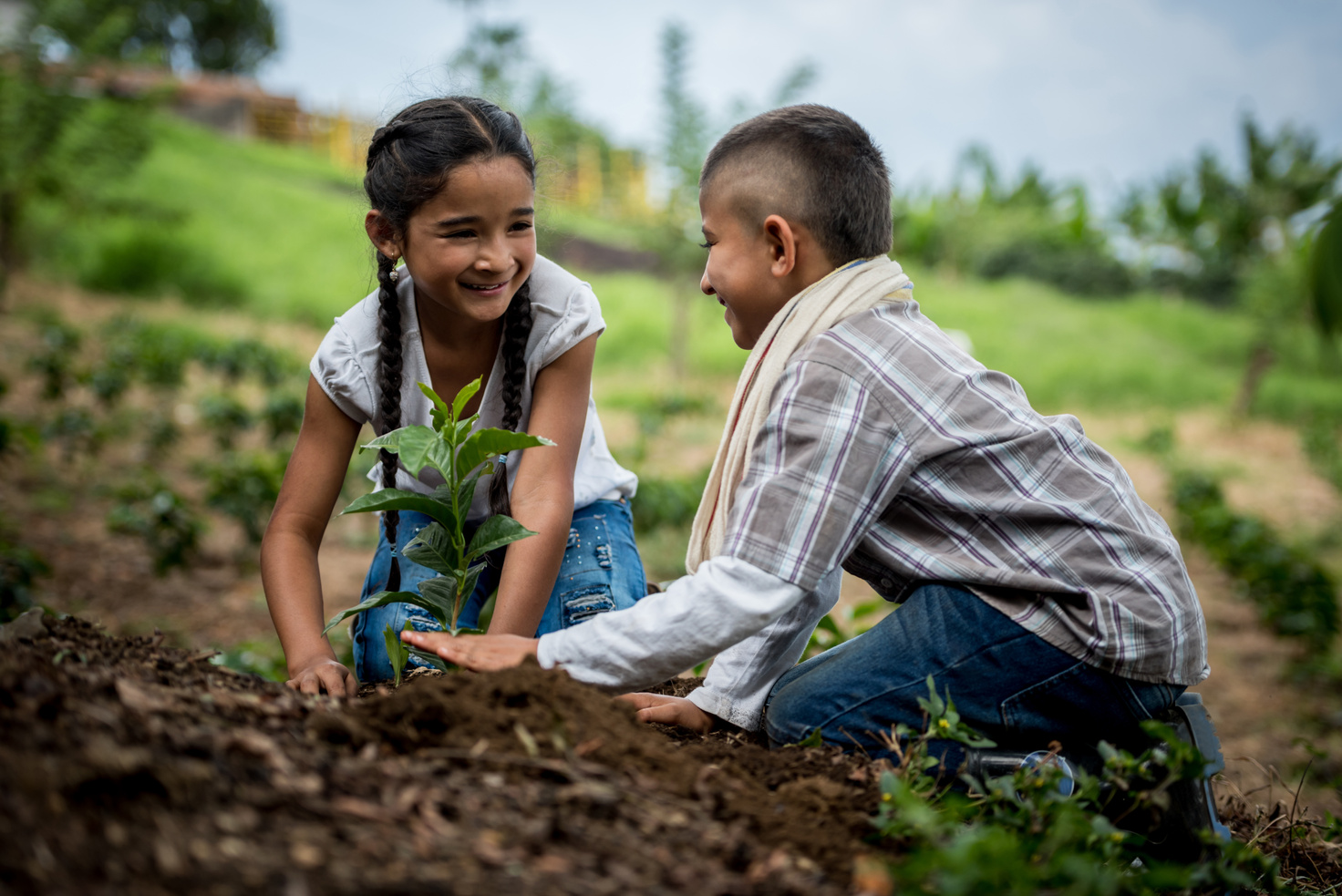 Happy Latin American children planting a tree at the farm