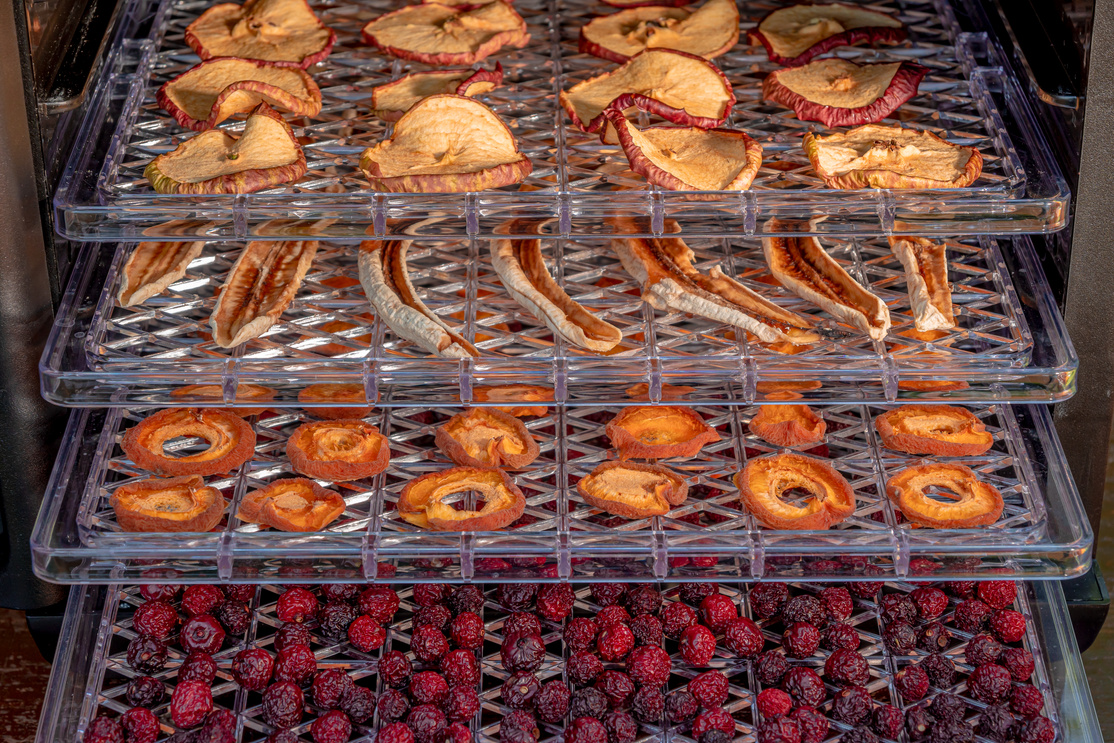 Dried fruit inside a home electric dehydrator